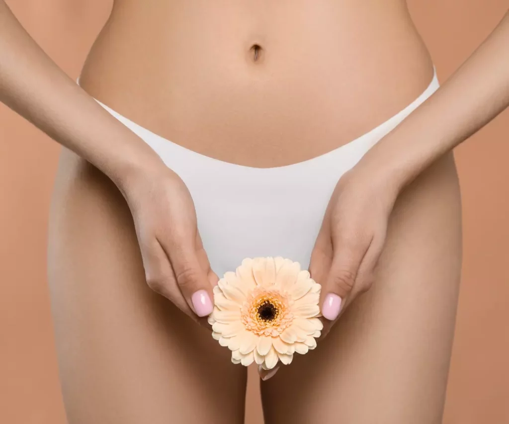 ginecologi204129a este204129tica 1024x853